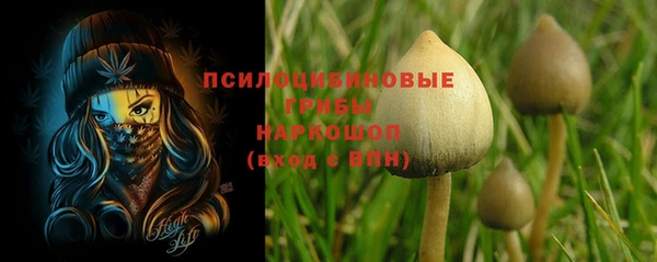 первитин Гусь-Хрустальный