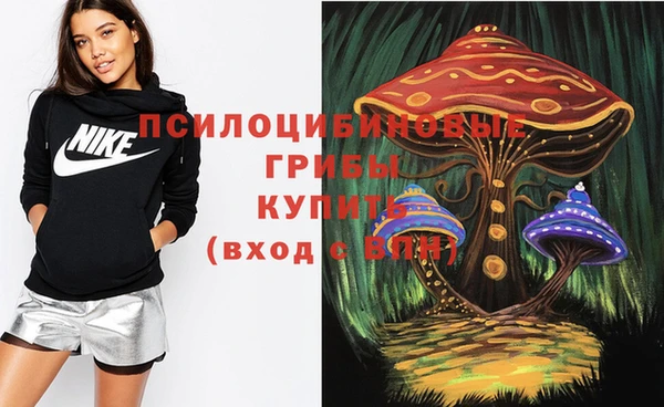первитин Гусь-Хрустальный