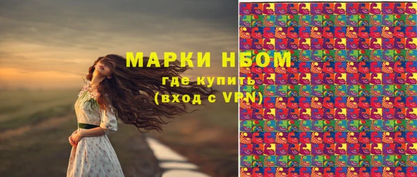 прущие крисы Горняк