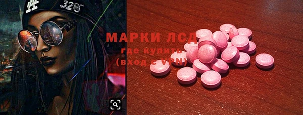прущие крисы Горняк