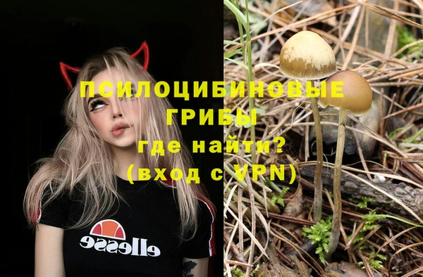 кокаин VHQ Гусев