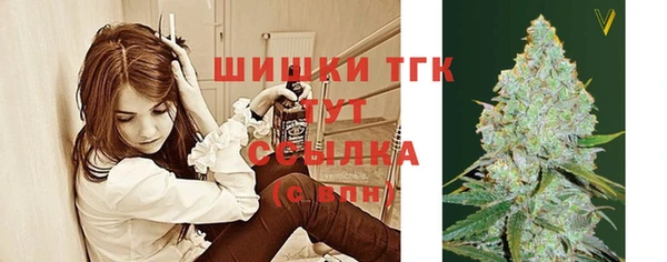 прущие крисы Горняк
