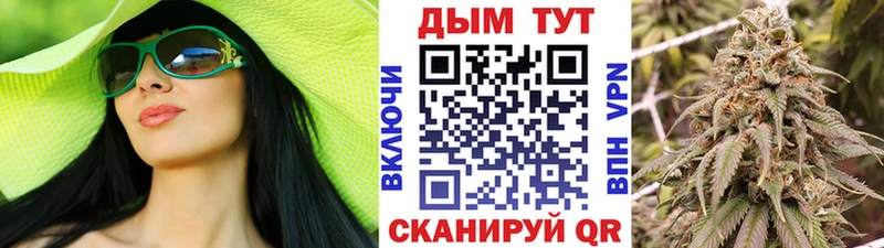 Купить закладки  Змеиногорск  Шишки марихуана Amnesia 